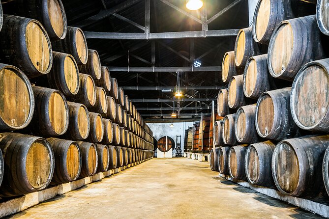 Douro Private Tour with Transport - Porto Pickup To Vale do Douro: The Private Ride