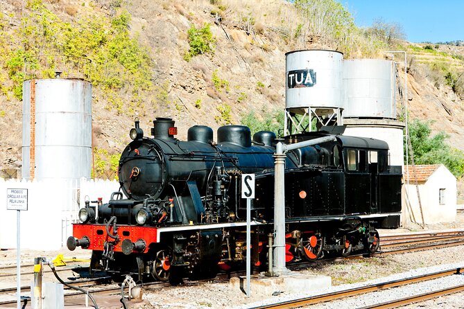 Douro Private Tour with Transport - The Driver Role and What to Expect From “Guided”