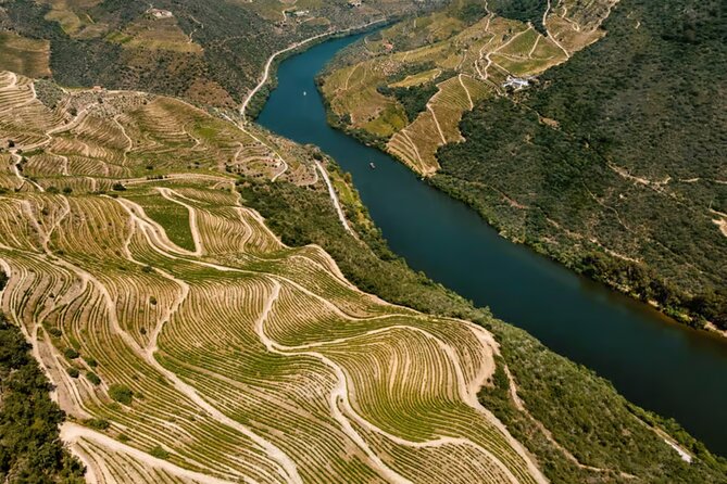 Douro River Cruise from Pinhão with Scenic Train Return - Who this Douro Pinhão cruise is best for