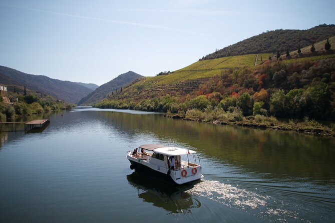 Douro River Cruise - Private River Cruise - Pinhão 1 Hour - What happens during your 1 hour on the Douro