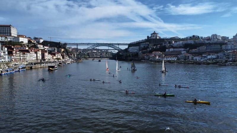 Douro River Kayak or Standup Paddleboard Tour - Key Highlights You’ll Feel on the Water