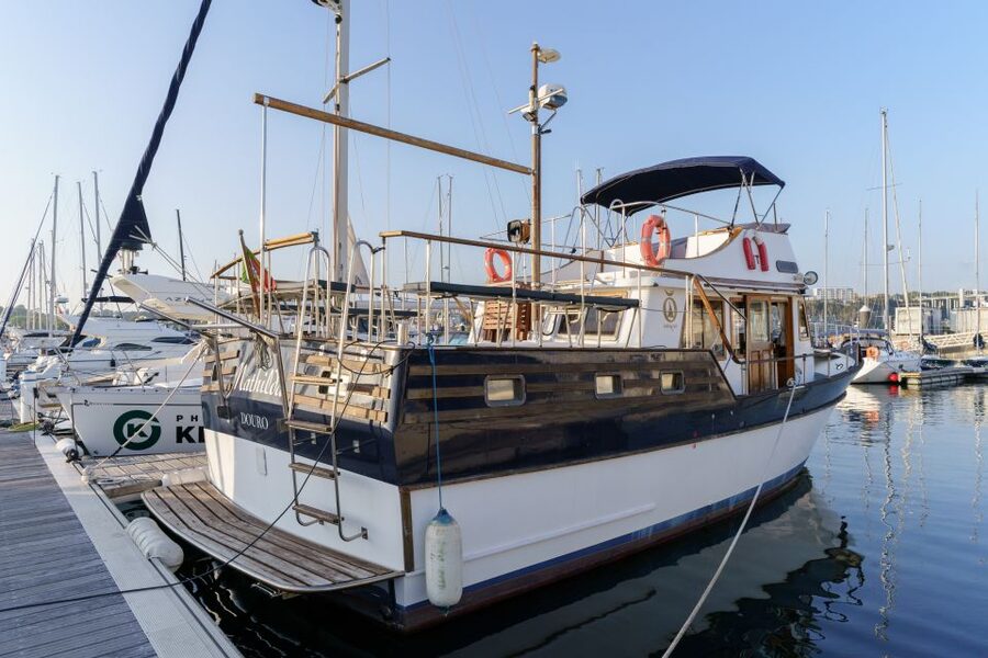 Douro River: Party Boat Tour - Meeting at Shop 6, Then Cruising Mathilda from Marina da Afurada