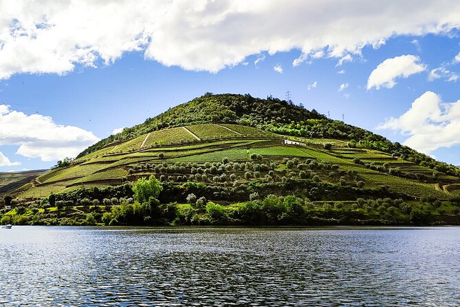 Douro | Roots & History - Tour with a local - Key takeaways before you go