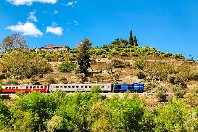 Douro | Roots & History - Tour with a local - Back to Pinhão for your first four-wine tasting