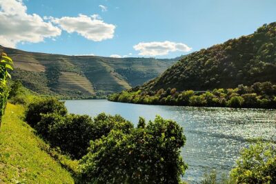 Douro | Roots & History – Tour with a local