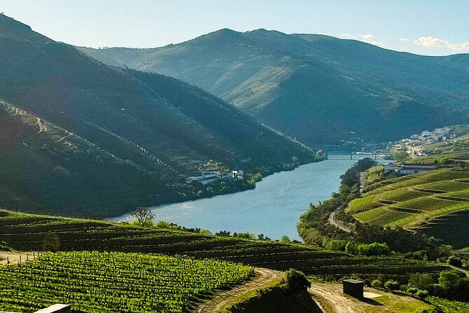Douro | Roots & History - Tour with a local - Cumieira winery visit and your second four-wine tasting