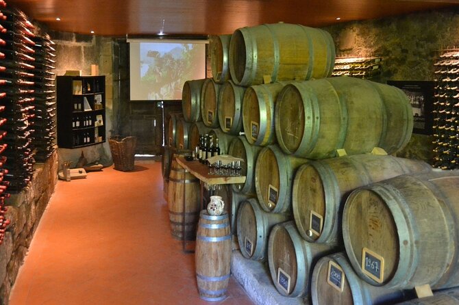 Douro Three Winery Small Group Tour with Lunch and Tastings - Key Things I’d Prioritize Before You Go