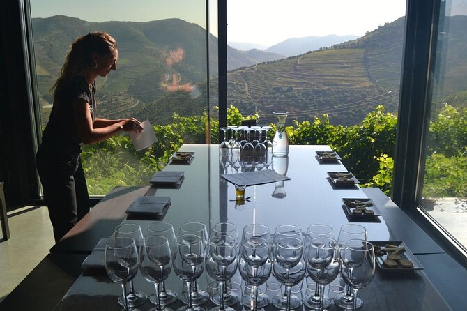 Douro Three Winery Small Group Tour with Lunch and Tastings - That N222 scenic drive stop: the views you cannot get from your phone