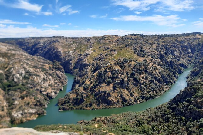 Douro Tour History and Wine - Key highlights at a glance
