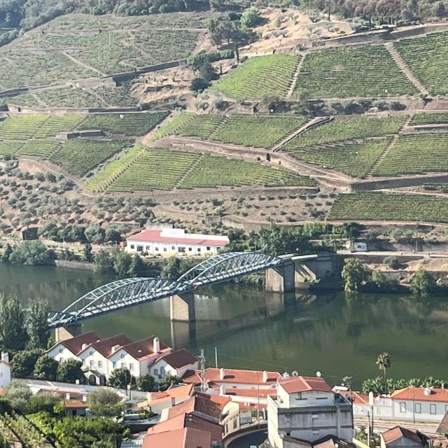 Douro Tour: Wine Tastings, Boat Ride & Manor House Lunch - Two family wineries and the tasting sequence that tells a story