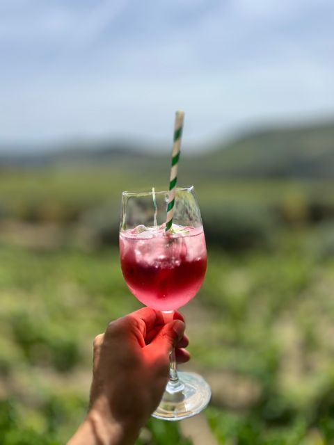 Douro Tour: Wine Tastings, Boat Ride & Manor House Lunch - A scenic viewpoint stop, timed for photos and more flavor