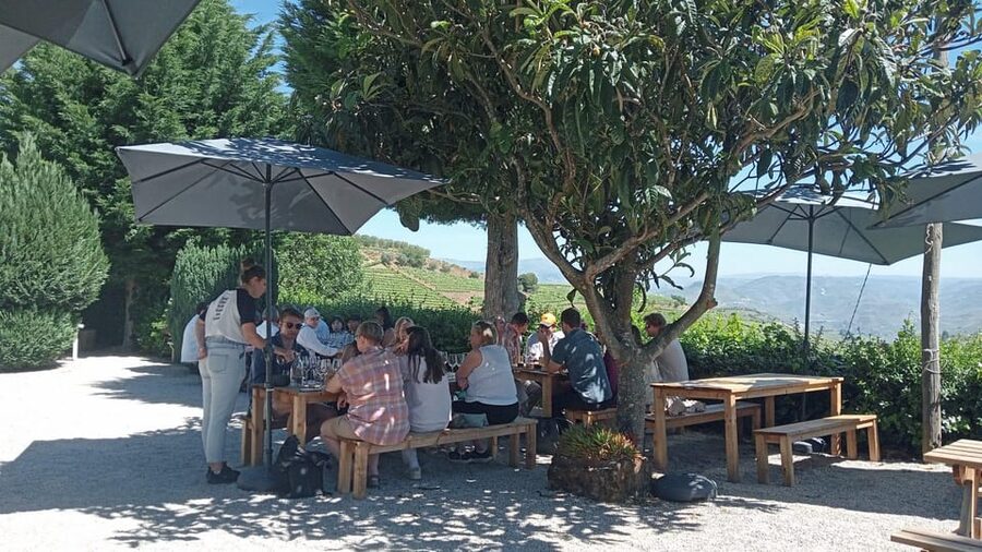 Douro Tour with Wine Tasting and Visit to Lamego and Pinhão - The Pinhão Rabelo cruise: why one hour on the water is the best deal