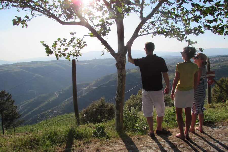 Douro Tour with Wine Tasting and Visit to Lamego and Pinhão - Wine tasting at a family vineyard: Port and Douro in a front-yard style moment