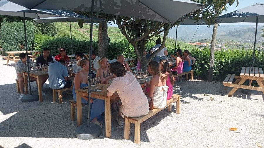 Douro Tour with Wine Tasting and Visit to Lamego and Pinhão - Timing and transport: the “10 hours” math you should understand