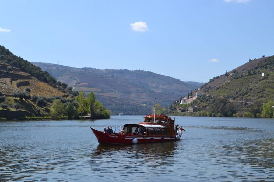 Douro Tour with Wine Tasting and Visit to Lamego and Pinhão - Guides and the “questions answered” factor that people notice