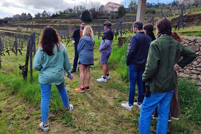 Douro Tour with Wine Tasting, River Cruise and Visit to Lamego - A well-planned Douro day, with less guesswork