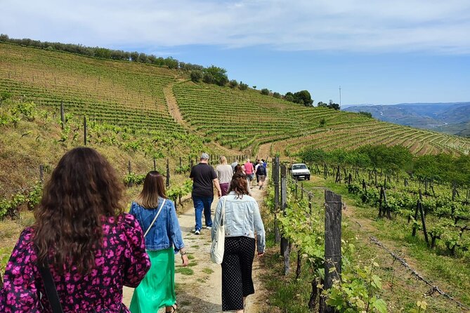 Douro Tour with Wine Tasting, River Cruise and Visit to Lamego - The Pinhão river cruise on a Rabelo boat