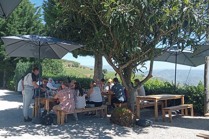 Douro Tour with Wine Tasting, River Cruise and Visit to Lamego - Two hours in Lamego for lunch and the historic center