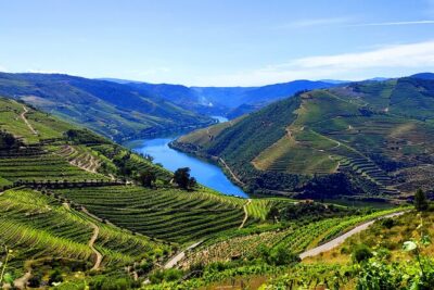 DOURO TOURS – Premium Tour