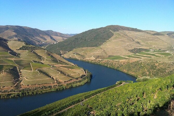 DOURO TOURS - Premium Tour - The real feel of the day: full schedule, small group energy