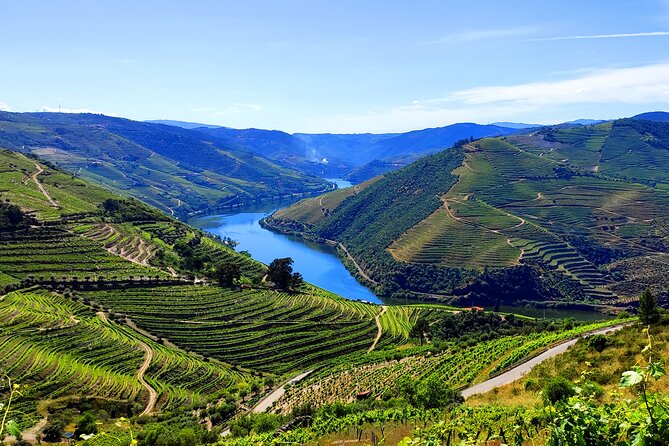 DOURO TOURS - Premium Tour - The 50-minute Douro boat ride: a calm start before the tastings