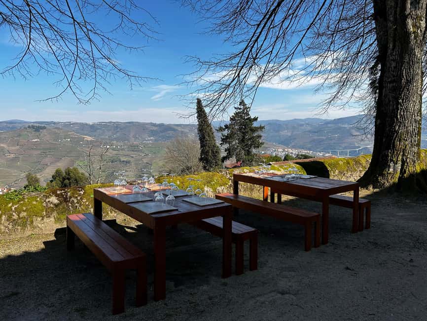 Douro Valley: A Sensory Experience in the Douro: Wines, Olive Oil, and History - DOC Douro wine tastings that explain the fruit of the terroir