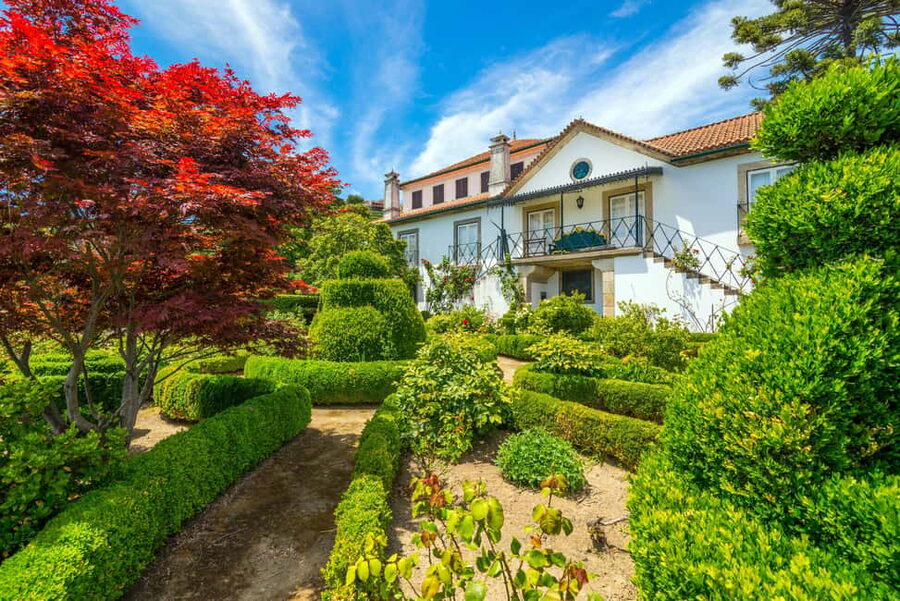 Douro Valley: A Sensory Experience in the Douro: Wines, Olive Oil, and History - Versailles-style gardens and private Douro lanes before the first sip