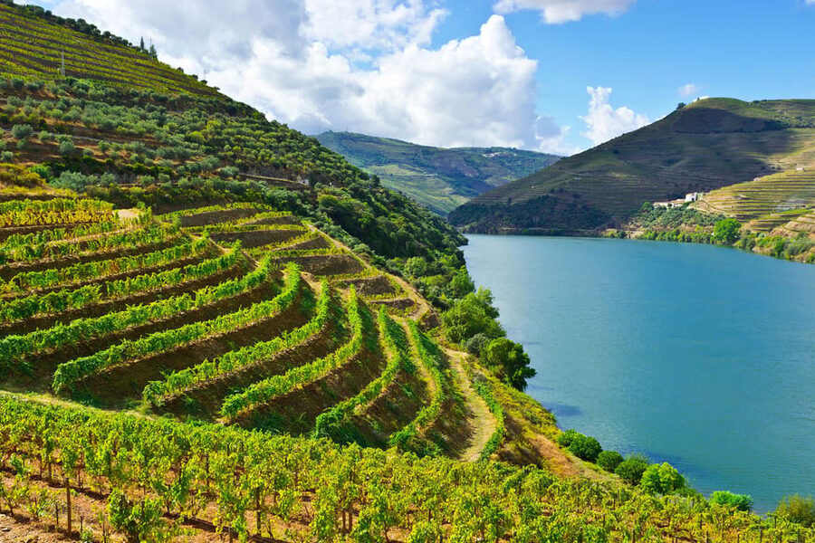 Douro Valley & Amarante - from Porto, Braga or Guimarães - Why Combine Amarante With the Douro in One Day