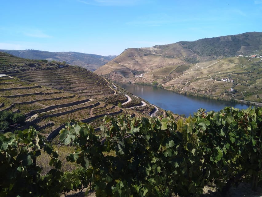Douro Valley & Amarante - from Porto, Braga or Guimarães - Amarante: The One-Hour City Break That Resets the Day