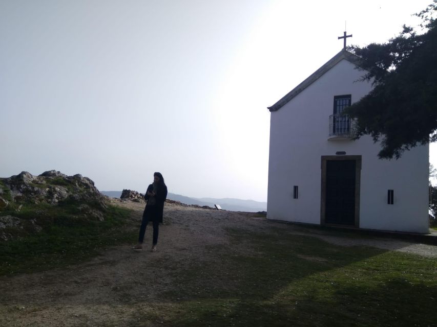 Douro Valley & Amarante - from Porto, Braga or Guimarães - Peso da Régua: The Guided Context Stop That Changes How You See the Valley