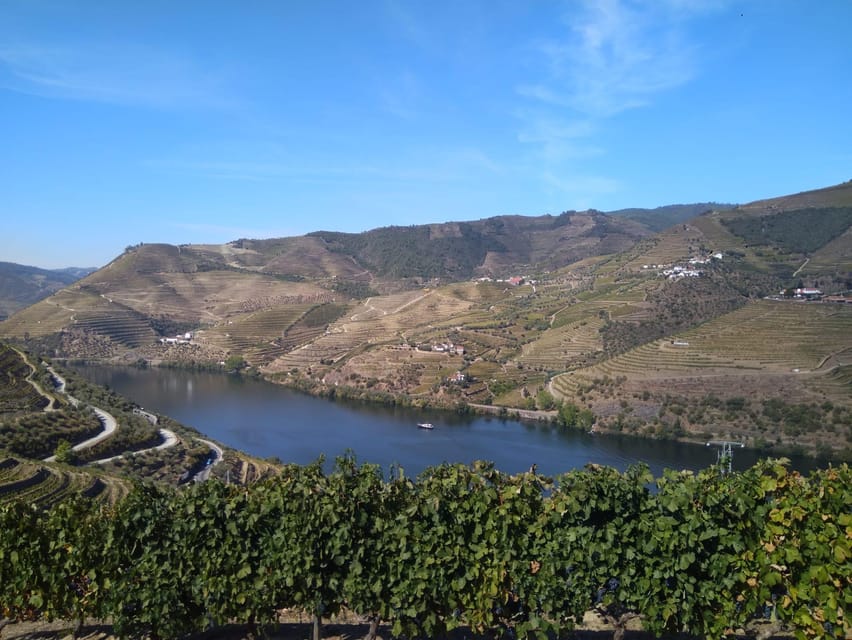 Douro Valley & Amarante - from Porto, Braga or Guimarães - Pinhão: Vineyard Time and the Douro Experience in Local Form