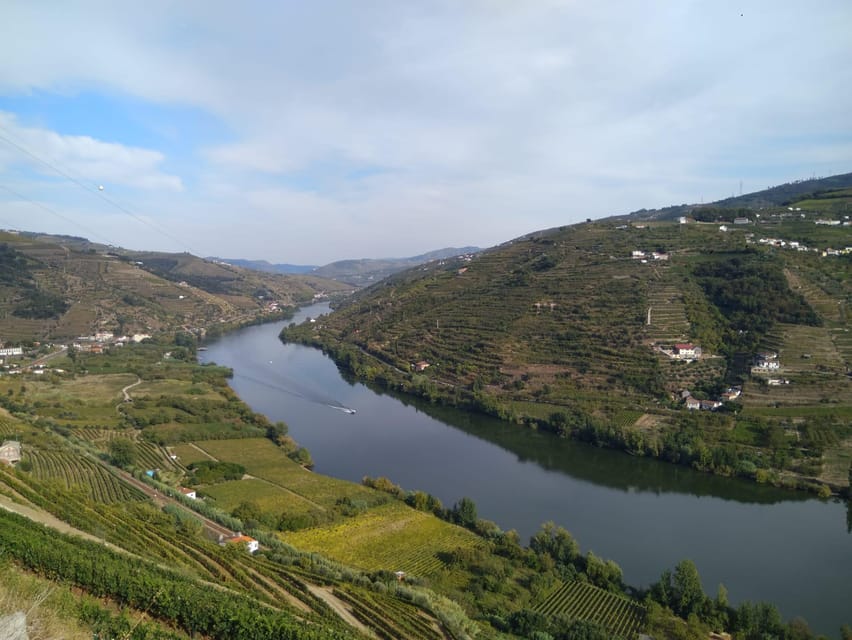 Douro Valley & Amarante - from Porto, Braga or Guimarães - Favaios: A Change of Pace Within the Same Wine Story