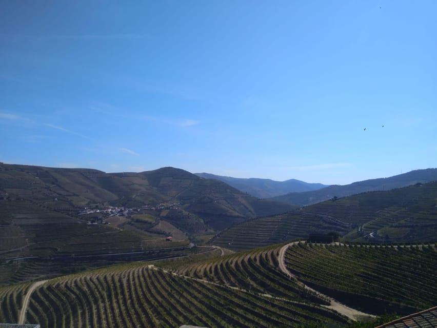 Douro Valley & Amarante - from Porto, Braga or Guimarães - Pickup, Private Van, and How the Day Stays Comfortable