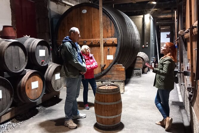 DOURO VALLEY & AMARANTE: Private Tour, Wine Tour and Cruise - Inside the wine experience: traditional cellar visit and tastings