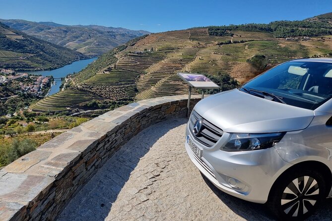 DOURO VALLEY & AMARANTE: Private Tour, Wine Tour and Cruise - The drive between Pinhão and Peso da Régua: where the photos come alive