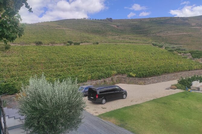 Douro Valley amazing wine Tours - Morning Start in Peso da Régua: Family Estate, Douro DOC, Porto, and Olive Oil