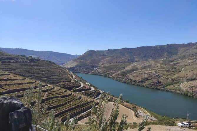 Douro Valley amazing wine Tours - Folgosa: Another Family Winery With a Terroir Focus