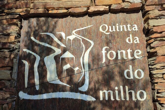 Douro Valley amazing wine Tours - Sabrosa Lunch With Douro DOC Red and White Pairing, Plus Dietary Options
