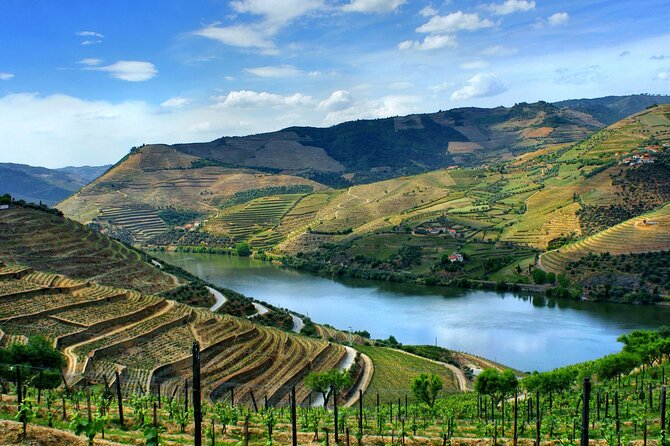 Douro Valley and Régua Panoramic Cruise with Lunch from Porto - Carrapatelo Dam: the lock passage with a jaw-dropping vertical drop
