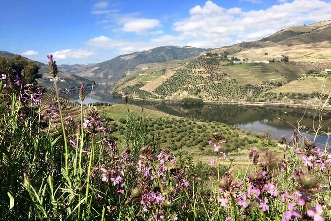 Douro Valley and Régua Panoramic Cruise with Lunch from Porto - The Porto arrival: bridges, river mouth, and Gaia wine-lodge views
