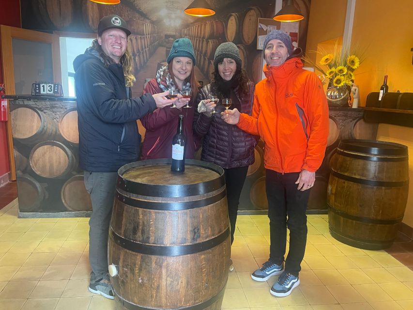Douro Valley: Authentic Wine Tour - Family Quinta #1: Port, table wines, and olive oil