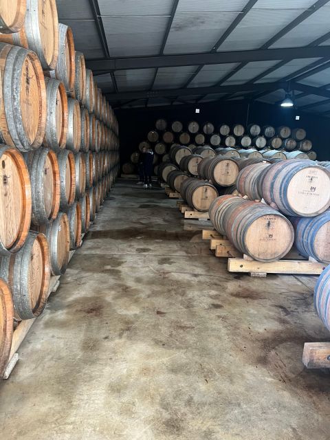 Douro Valley: Authentic Wine Tour - Lunch at a local restaurant: regional food, real fuel