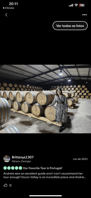 Douro Valley: Authentic Wine Tour - EN222 to Pinhão: why the road is part of the experience