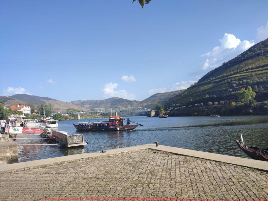 Douro Valley: Authentic Wine Tour - Family Quinta #2: red table wines plus Port, with big views
