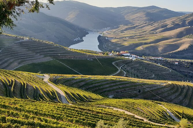 Douro Valley Best-Of Private Tour – Fully Customizable Experience - Sabrosa chill and wine: a shorter stop that still feels personal