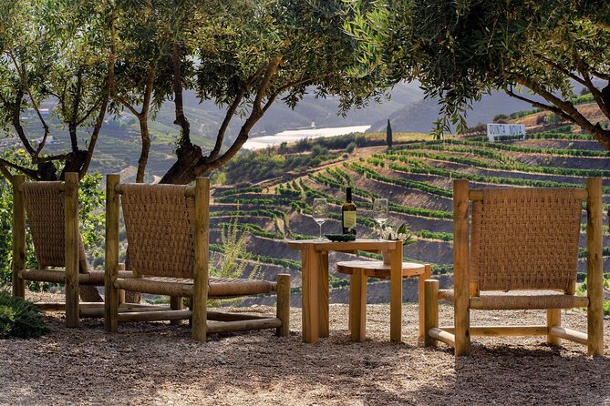 Douro Valley Best-Of Private Tour – Fully Customizable Experience - Price and logistics: what $249.63 buys you in real life