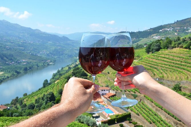 Douro Valley Delights Wine Tasting and Scenic Vistas - Key things to look for on this Douro Valley day