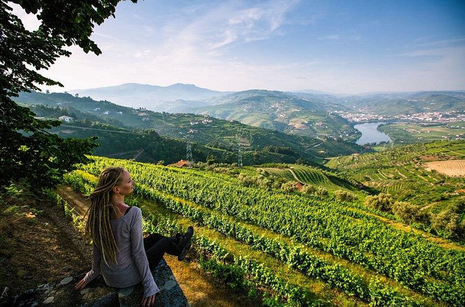 Douro Valley Delights Wine Tasting and Scenic Vistas - Quinta do Beijo: a family estate with old ways and new moves