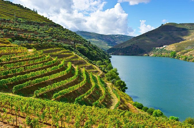 Douro Valley Delights Wine Tasting and Scenic Vistas - Price and value: is $688.09 per person fair?