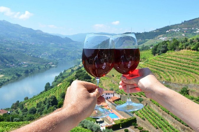 Douro Valley Delights Wine Tasting and Scenic Vistas - Who this Douro Valley day suits best